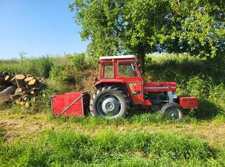 Massey Ferguson 135 Bj.1971 Massey Ferguson 135 Bj.1971