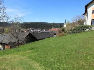 Sehr sonniger Baugrund in Siedlungslage, 19594.46 €, Immobilien-Grund und Boden in 4272 Weitersfelden