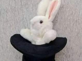Folkmanis Handpuppe, Therapiepuppe Hase im Zylinder/Zauberhut,ca 30cm, FIXPREIS 25€/ NUR SELBSTABHOLUNG,23 Bez. KEIN Versand!, 25 €, Kindersachen-Spielzeug in 1230 Liesing Folkmanis Handpuppe, Therapiepuppe Hase im Zylinder/Zauberhut,ca 30cm, FIXPREIS 25€/ NUR SELBSTABHOLUNG,23 Bez. KEIN Versand!, 25 €, Kindersachen-Spielzeug in 1230 Liesing
