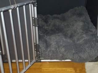 Hundebox Trixie unbenutzt Hundebox Trixie unbenutzt