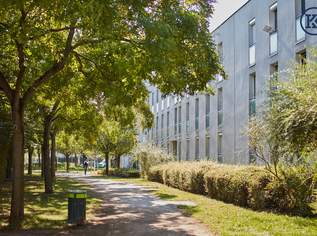Sonniges Dachgeschoss-Juwel – Loggia mit Parkblick, nahe U2 Donauspital, 1200 €, Immobilien-Wohnungen in 1220 Donaustadt