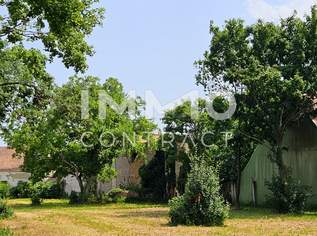 Ebenes, ruhiges, sonniges und voll aufgeschlossenes Grundstück in attraktiver Lage, 560000 €, Immobilien-Grund und Boden in 2522 Gemeinde Oberwaltersdorf