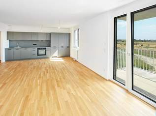 DER BALLON - Ankommen und abheben - NATURNAHES WOHNEN NAHE DER SEESTADT ASPERN, 1299.58 €, Immobilien-Wohnungen in 1220 Donaustadt