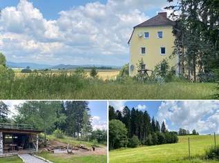 Gemütliches LOFT 68 m² in Traumnatur mit eigenen Gartenanteil! Miete ist inkl. Betriebskosten u. Heizkosten!, 750.21 €, Immobilien-Wohnungen in 4261 Rainbach im Mühlkreis Gemütliches LOFT 68 m² in Traumnatur mit eigenen Gartenanteil! Miete ist inkl. Betriebskosten u. Heizkosten!, 750.21 €, Immobilien-Wohnungen in 4261 Rainbach im Mühlkreis