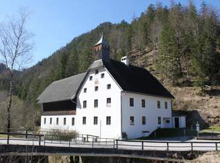 Büro, Seminar, Wohnen, in Wunderschöner Landschaft!, 0 €, Immobilien-Gewerbeobjekte in 8924 Wildalpen Büro, Seminar, Wohnen, in Wunderschöner Landschaft!, 0 €, Immobilien-Gewerbeobjekte in 8924 Wildalpen