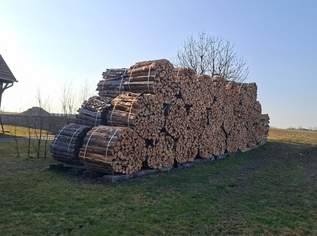 Brennholz , 70 €, Haus, Bau, Garten-Hausbau & Werkzeug in 2081 Oberfladnitz Brennholz , 70 €, Haus, Bau, Garten-Hausbau & Werkzeug in 2081 Oberfladnitz