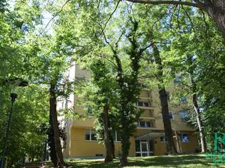 Sonnige 2-Zimmerwohnung in Parkanlage inkl. Privatparkplatz- Ruhelage, 1160.06 €, Immobilien-Wohnungen in 1120 Meidling Sonnige 2-Zimmerwohnung in Parkanlage inkl. Privatparkplatz- Ruhelage, 1160.06 €, Immobilien-Wohnungen in 1120 Meidling