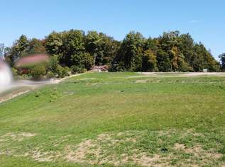 Sonniges Grundstück in Grubtal, 186000 €, Immobilien-Grund und Boden in 8462 Gamlitz Sonniges Grundstück in Grubtal, 186000 €, Immobilien-Grund und Boden in 8462 Gamlitz