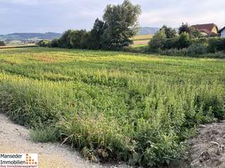 JETZT HEISST ES SCHNELL SEIN! 733 m2 GRUNDSTÜCK IN KIRCHSTETTEN-TOTZENBACH!, 58000 €, Immobilien-Grund und Boden in 3062 Katastralgemeinde Totzenbach
