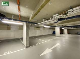 Tiefgaragenstellplatz zur Miete- Prager Straße 105+109 in 1210 Wien, 105.07 €, Immobilien-Kleinobjekte & WGs in 1210 Floridsdorf Tiefgaragenstellplatz zur Miete- Prager Straße 105+109 in 1210 Wien, 105.07 €, Immobilien-Kleinobjekte & WGs in 1210 Floridsdorf