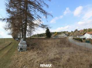 Großzügiges Grundstück mit Entwicklungspotenzial – ideal für Eigenheim & Bauträger“, 98000 €, Immobilien-Grund und Boden in 4184 Köckendorf