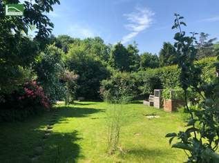 Grundstück! Für Eigenheim oder auch für Bauträger bei der Lobau . 1220 Wien, Nähe Ultzmanngasse beim Großenzersdorfer Arm! - JETZT ZUSCHLAGEN, 498000.45 €, Immobilien-Grund und Boden in 1220 Donaustadt Grundstück! Für Eigenheim oder auch für Bauträger bei der Lobau . 1220 Wien, Nähe Ultzmanngasse beim Großenzersdorfer Arm! - JETZT ZUSCHLAGEN, 498000.45 €, Immobilien-Grund und Boden in 1220 Donaustadt