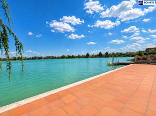 See, Sonne, Lebensqualität – Seltene Gelegenheit auf Eigengrund am Babenbergersee!, 749000 €, Immobilien-Häuser in 2482 Münchendorf See, Sonne, Lebensqualität – Seltene Gelegenheit auf Eigengrund am Babenbergersee!, 749000 €, Immobilien-Häuser in 2482 Münchendorf