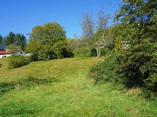 Baugrundstück auf Südhang in traumhafter Grünruhelage in der Kaiserbrunn, 330000 €, Immobilien-Grund und Boden in 3021 Pressbaum