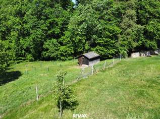 Sonnige Landwirtschaftsfläche mit vielseitigem Potenzial - ideal für Tierhaltung & Naturprojekte, 169000 €, Immobilien-Grund und Boden in 8345 Straden