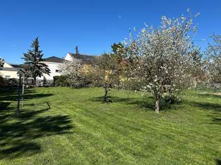 Grundstück in Achau – Ihr Eigenheim auf 1190m², 549000 €, Immobilien-Grund und Boden in 2481 Gemeinde Achau Grundstück in Achau – Ihr Eigenheim auf 1190m², 549000 €, Immobilien-Grund und Boden in 2481 Gemeinde Achau