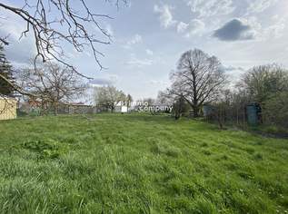 Unbebautes Baugrundstück in Tribuswinkel!, 342000 €, Immobilien-Grund und Boden in 2512 Katastralgemeinde Tribuswinkel