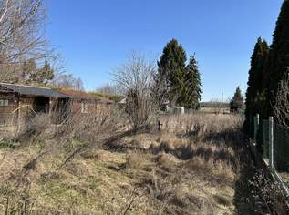 Grundstück in Hohenau, 29900 €, Immobilien-Grund und Boden in 2273 Gemeinde Hohenau an der March