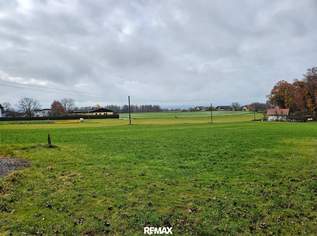 Baugrund, 171000 €, Immobilien-Grund und Boden in 5120 Sankt Pantaleon Baugrund, 171000 €, Immobilien-Grund und Boden in 5120 Sankt Pantaleon