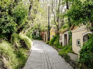 Hochwertiges Provisionsfrei 2 Zimmer 60 m2 Wohnung mit Hallenbad in Strebersdorf, mit garten, Weinkeller und parking option