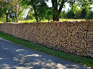 Brennholz 