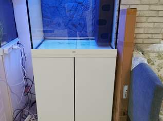 Aquarium Juwel Lido 200 Komplett, 320 €, Marktplatz-Tiere & Tierbedarf in 1210 Floridsdorf Aquarium Juwel Lido 200 Komplett, 320 €, Marktplatz-Tiere & Tierbedarf in 1210 Floridsdorf