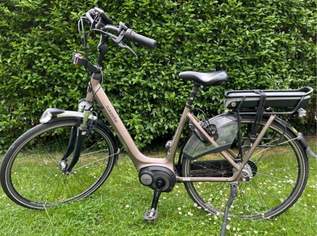 E-Bike Baden bei Wien, 880 €, Auto & Fahrrad-Fahrräder in 2500 Gemeinde Baden
