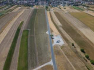 Landwirtschaftliches Grundstück in der KG Auersthal - 4777m2, 0 €, Immobilien-Gewerbeobjekte in 2214 Auersthal
