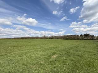**Großzügiges Grundstück mit vielen Möglichkeiten in absoluter Ruhelage**, 159000 €, Immobilien-Grund und Boden in 7561 Poppendorf im Burgenland