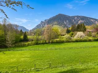 Traumkulisse! Freier Blick auf die Rax!, 375000 €, Immobilien-Grund und Boden in 2651 Gemeinde Reichenau an der Rax