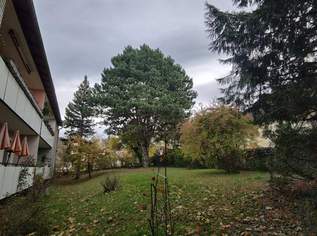 Schöne lichtdurchflutete 3-Zimmer Wohnung mit Loggia und Garten, Ruhelage