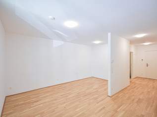 Schöne 1-Zimmer Wohnung mit Balkon, 899 €, Immobilien-Wohnungen in 1200 Brigittenau