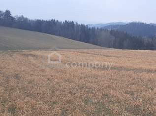 Ackerland in Wiesmath, 0 €, Immobilien-Gewerbeobjekte in 2811 Gemeinde Wiesmath