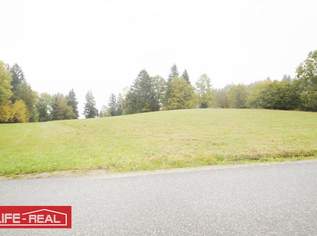 Schafzucht, Pferdezucht,schöne, große landwirtschaftliche Nutzfläche, in ruhiger Lage, 42049 €, Immobilien-Grund und Boden in 4150 Berg bei Rohrbach Schafzucht, Pferdezucht,schöne, große landwirtschaftliche Nutzfläche, in ruhiger Lage, 42049 €, Immobilien-Grund und Boden in 4150 Berg bei Rohrbach