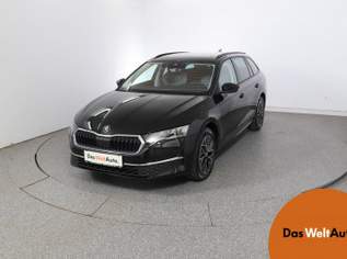 Octavia Selection TDI DSG, 38990 €, Auto & Fahrrad-Autos in 8041 Liebenau Octavia Selection TDI DSG, 38990 €, Auto & Fahrrad-Autos in 8041 Liebenau