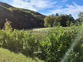 Gartenidylle pur! Provisionsfrei und sofort bezugsbereit!, 392900 €, Immobilien-Wohnungen in 1140 Penzing
