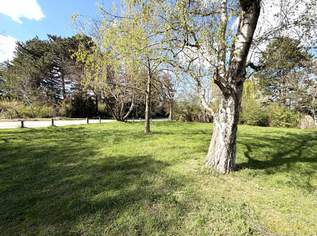 NÄHE U2 DONAUSPITAL! BAUGRUND DIREKT AM MÜHLWASSER. TRAUMLAGE., 370000 €, Immobilien-Grund und Boden in 1220 Donaustadt