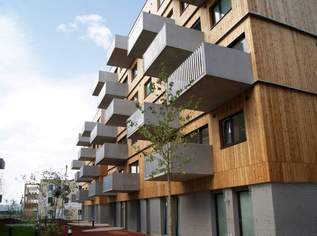 helle Geschäftsfläche im Erdgeschoss, 1031.55 €, Immobilien-Gewerbeobjekte in 1220 Donaustadt helle Geschäftsfläche im Erdgeschoss, 1031.55 €, Immobilien-Gewerbeobjekte in 1220 Donaustadt