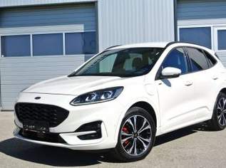 Kuga 2.5 PHEV Hybrid ** ST-Line X ** LEDER * LED * KAMERA * 4xSHZ *, 18990 €, Auto & Fahrrad-Autos in 4693 Desselbrunn