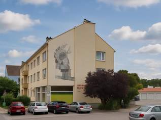 "Was will man mehr?", 200000 €, Immobilien-Wohnungen in 2563 Katastralgemeinde Pottenstein
