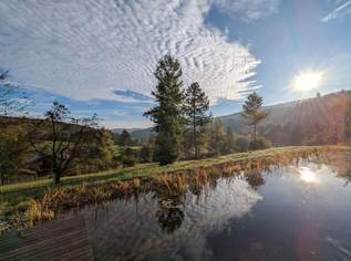 RARITÄT - IDYLLE PUR!! LANDHAUS MIT AUSBLICK IN SONNIGER RUHELAGE, 1200000 €, Immobilien-Häuser in 3021 Pressbaum