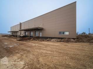 Lagerhalle im Industriegebiet Münchendorf – flexibel nutzbar, 1800 €, Immobilien-Gewerbeobjekte in 2482 Münchendorf