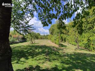 Außergewöhnliches Naturparadies in Bad Vöslau, 620000 €, Immobilien-Grund und Boden in 2540 Katastralgemeinde Gainfarn