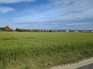 Verkaufe Acker / landwirtschaftliche Nutzfläche, 1 €, Immobilien-Grund und Boden in 4343 Mitterkirchen im Machland Verkaufe Acker / landwirtschaftliche Nutzfläche, 1 €, Immobilien-Grund und Boden in 4343 Mitterkirchen im Machland