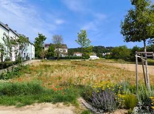 Baugrund in bester Lage mitten in Eisenstadt (Oberberg) – 729 qm (GST 3474/2, KG 30008) (Provisionsfrei), 328000 €, Immobilien-Grund und Boden in 7000 Eisenstadt Baugrund in bester Lage mitten in Eisenstadt (Oberberg) – 729 qm (GST 3474/2, KG 30008) (Provisionsfrei), 328000 €, Immobilien-Grund und Boden in 7000 Eisenstadt