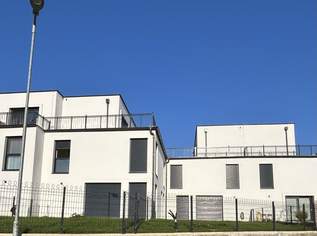 Neues Zuhause in Wilfersdorf bei Tulln : Erstbezug, 144,79m², 2 Stellplätze, Garten, 2200 €, Immobilien-Häuser in 3434 Wilfersdorf Neues Zuhause in Wilfersdorf bei Tulln : Erstbezug, 144,79m², 2 Stellplätze, Garten, 2200 €, Immobilien-Häuser in 3434 Wilfersdorf