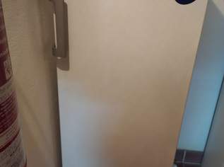Gefrierschrank No Frost, 100 €, Haus, Bau, Garten-Haushaltsgeräte in 2852 Gemeinde Hochneukirchen-Gschaidt