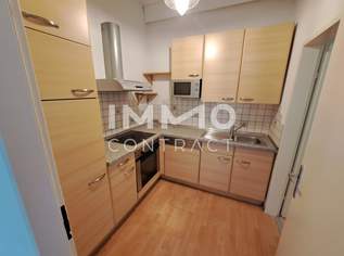 Schöne sanierte 2-Zimmer-Wohnung (Loft/Galeriewohnung), 865.78 €, Immobilien-Wohnungen in 4600 Wels