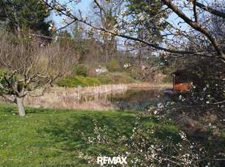"Exklusives Refugium mit Biotop & 3.000 qm Gartenparadies!", 1590000 €, Immobilien-Häuser in 2344 Gemeinde Maria Enzersdorf