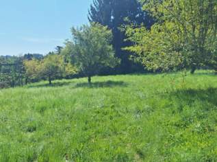 „Ihr Logenplatz in Wildon – Baugrundstück mit Aussicht, Sonne & Privatsphäre“, 189000 €, Immobilien-Grund und Boden in 8412 Allerheiligen bei Wildon